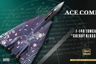 Hasegawa – SP291 – [ACE COMBAT] F-14D Tomcat “Cherry Blossom”